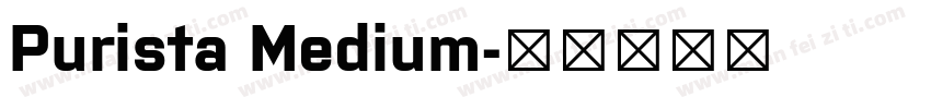 Purista Medium字体转换